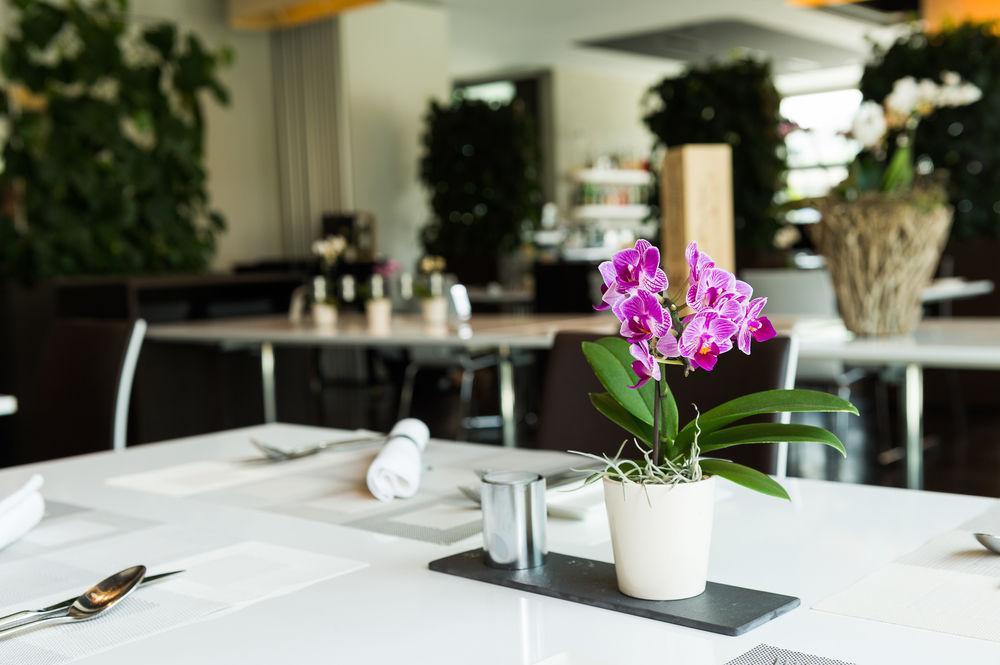Hotel Apart - Welcoming L Urban Feel L Design Risch-Rotkreuz Ngoại thất bức ảnh